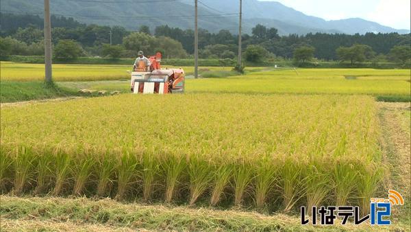 早くも稲刈り始まる