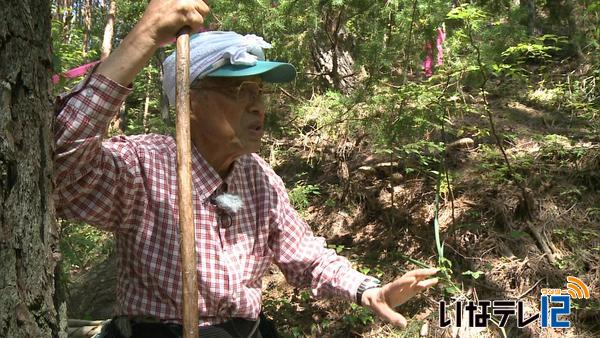 藤原式「しろ」増殖法　公開