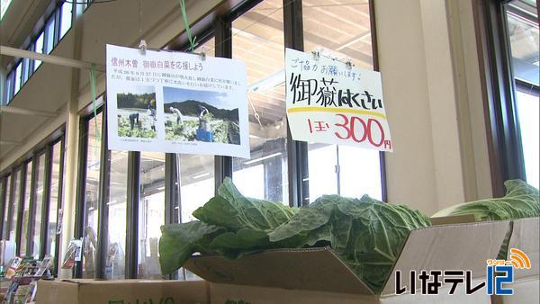 御嶽はくさい　ＪＡ上伊那販売支援