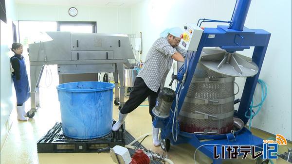 伊那ワイン工房で「山紫」醸造