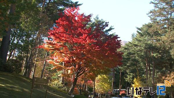 伊那食品工業　紅葉が見ごろ