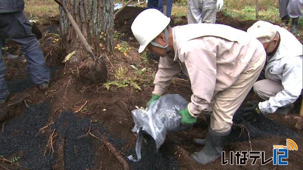 松くい虫被害防止へ　炭で土壌改良