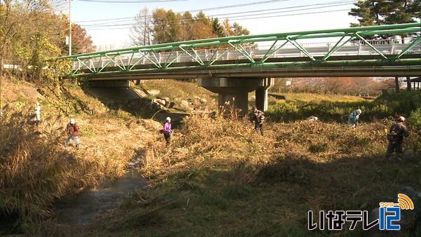 南箕輪村大泉川高根橋周辺で美化作業