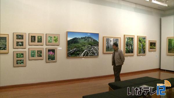 青野恭典さん　「森のいのち」をテーマに写真展