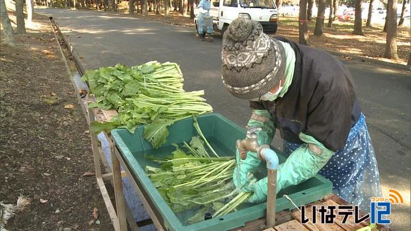 大芝高原　お菜洗い場開設