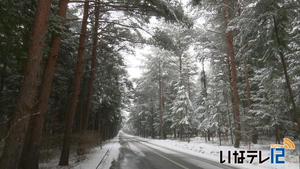 上伊那地域　１０センチの積雪