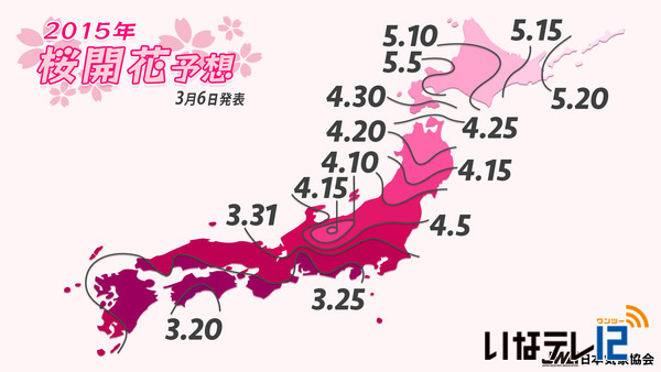 高遠城址公園　４月９日開花予想