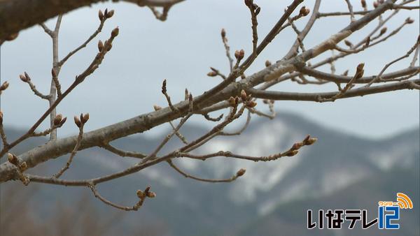 最高気温１７．４度　４月中旬並み