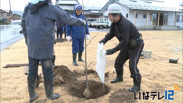 伊那市桜守の会　発足へ