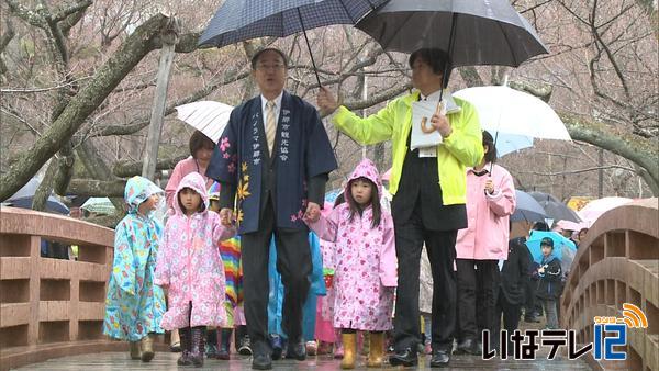 高遠城址公園　さくら祭り始まる