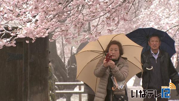 伊那地域　１月下旬並みの気温　雪景色