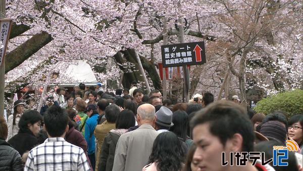 満開の高遠城址公園　花見客で賑わう