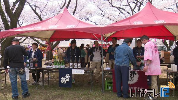 満開の桜　春日公園で伊那谷新酒祭り