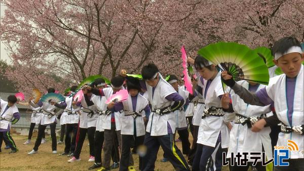 高遠城址公園観光客を踊りでおもてなし