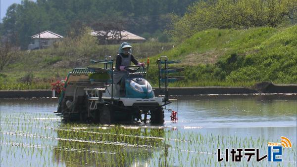 伊那地域　今季最高２８.１度　田植え始まる