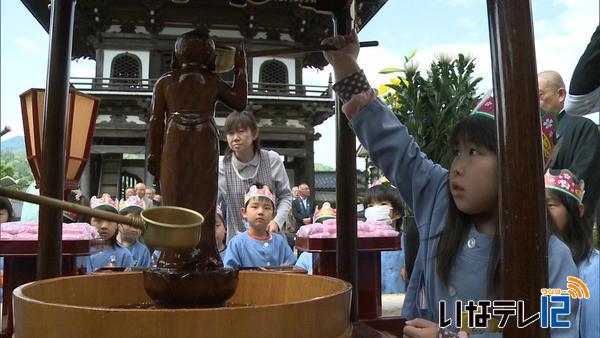 高遠満光寺で花祭り