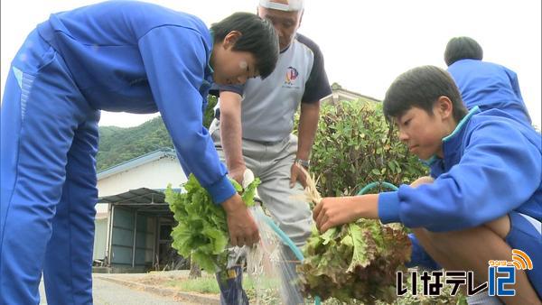 長谷中学校　食育の一環で育てた野菜を給食で提供