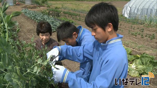 伊那市で修学旅行生初の受け入れ　大阪から中学生が農家民泊に