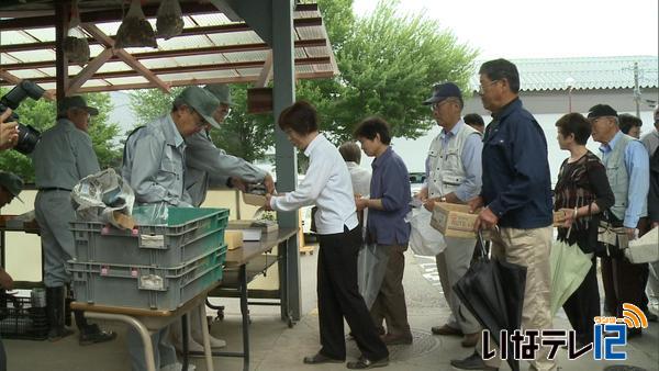 伊那市振興公社が花の苗無料配布「花いっぱいの伊那市に」