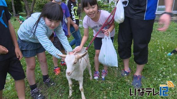 南箕輪小２年２組にヤギが仲間入り