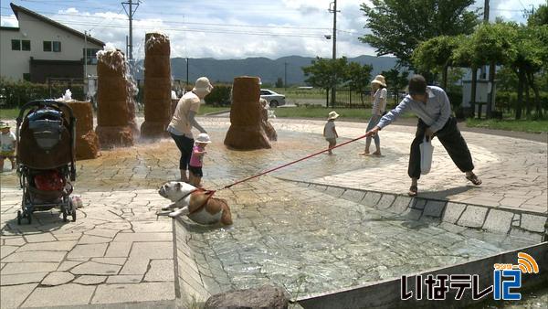 夏至　せせらぎ水路で親子連れ楽しむ