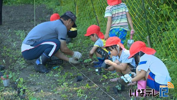 高遠北小全校児童が「高遠そば」を学ぶ