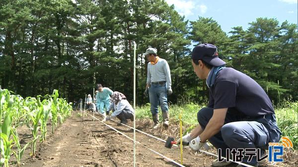 伊那西小学校の通学路に電気柵を設置