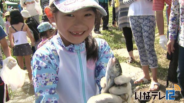 西町親子マスつかみ大会