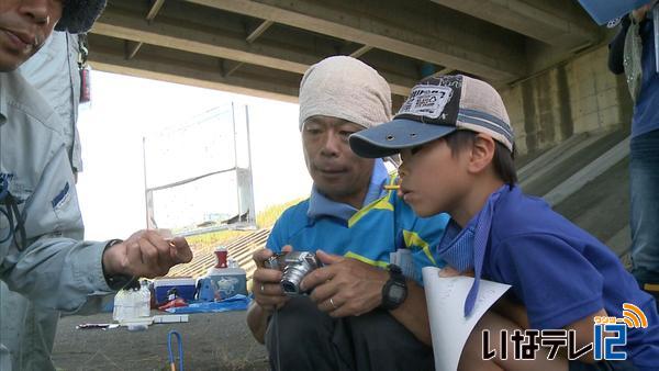 親子で天竜川の「水生生物調査」