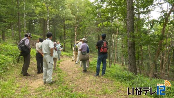 伊那市５０年の森林ビジョン策定委員会　現地視察