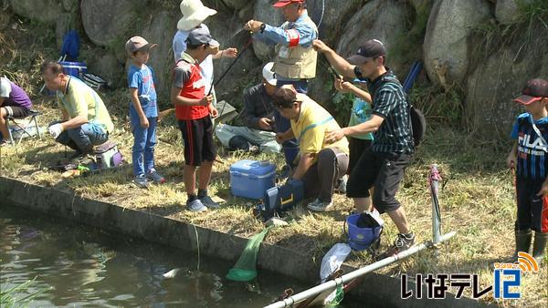 マス釣り大会　親子連れで賑わう