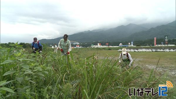 西春近自治協議会が天竜川河川敷の草刈り作業