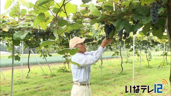 山ぶどうの生産者の会設立