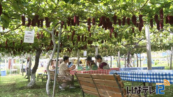 箕輪町福与の観光農園、雅秋園がオープン