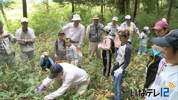 富県の子供たちが蜂追い体験