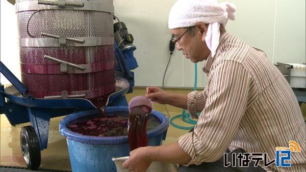 伊那ワイン工房で「山紫」　醸造進む