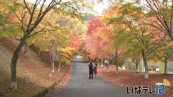 もみじ湖　紅葉見ごろに