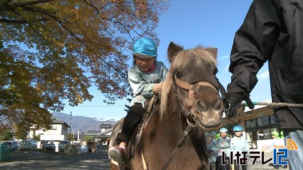 木下北保育園　ポニーの乗馬を体験