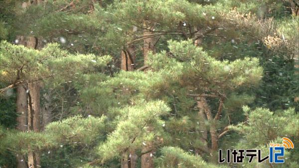 伊那地域最高気温６．４度　１２月下旬並みの寒い一日粉雪舞う