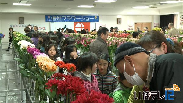 信州フラワーショー　冬の花ずらり