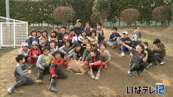 南箕輪小学校２年２組　ヤギとお別れ