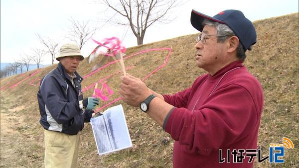 春高駅伝応援　三峰川堤防に文字