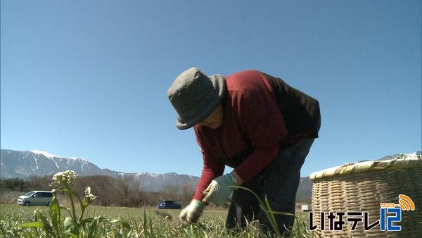 最高気温２０．６度５月上旬並み