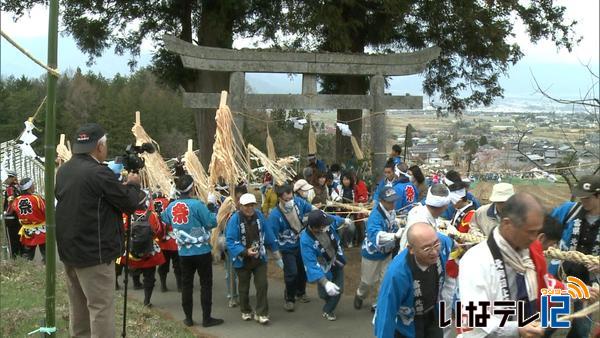 富県北福地で御柱祭　里引き・建て御柱