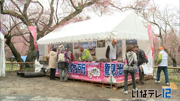 「い～なガイドの会」　高遠城址公園に観光案内所開設