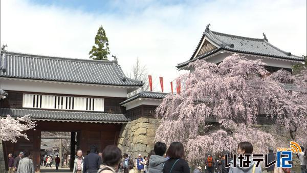 【信越花便り】上田城跡公園　満開