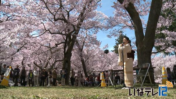 高遠城址公園　風の影響ほぼなく観光客がイベント楽しむ