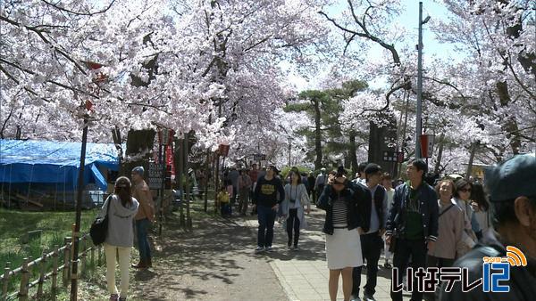 高遠城址公園　桜まつり期間１５万４千人