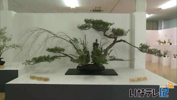 華道家元池坊伊那支部創立７０周年記念花展