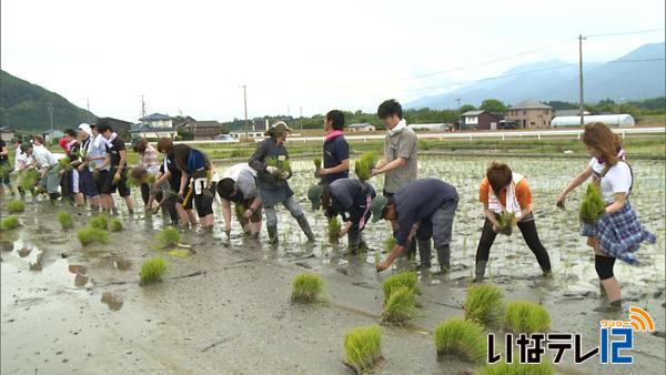 農業体験で都市部の住民と交流